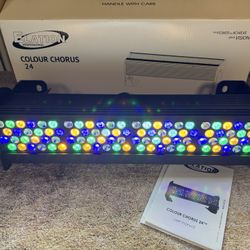 LED Light Bar - Elation 