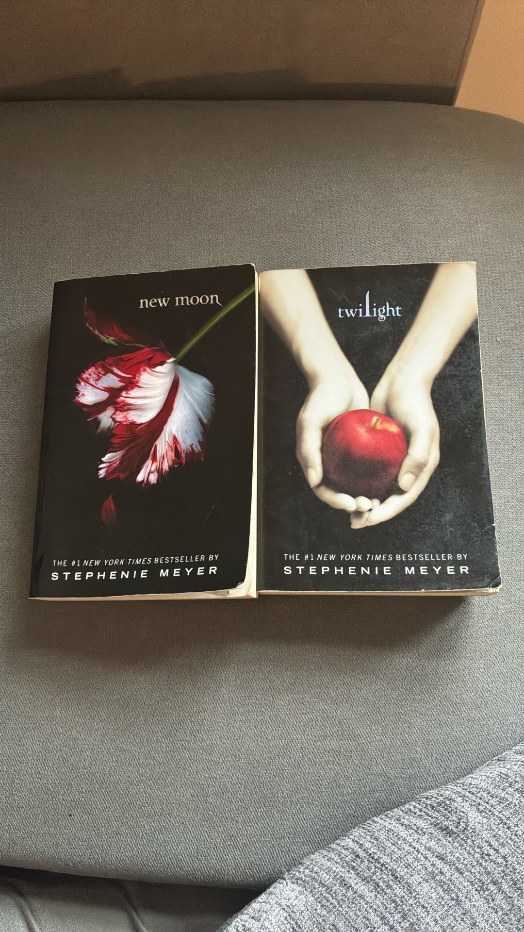 Twilight Paperback