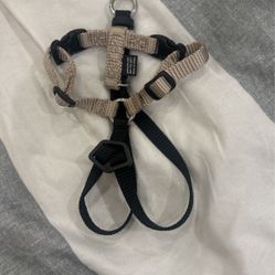 Pet safe leash size S 