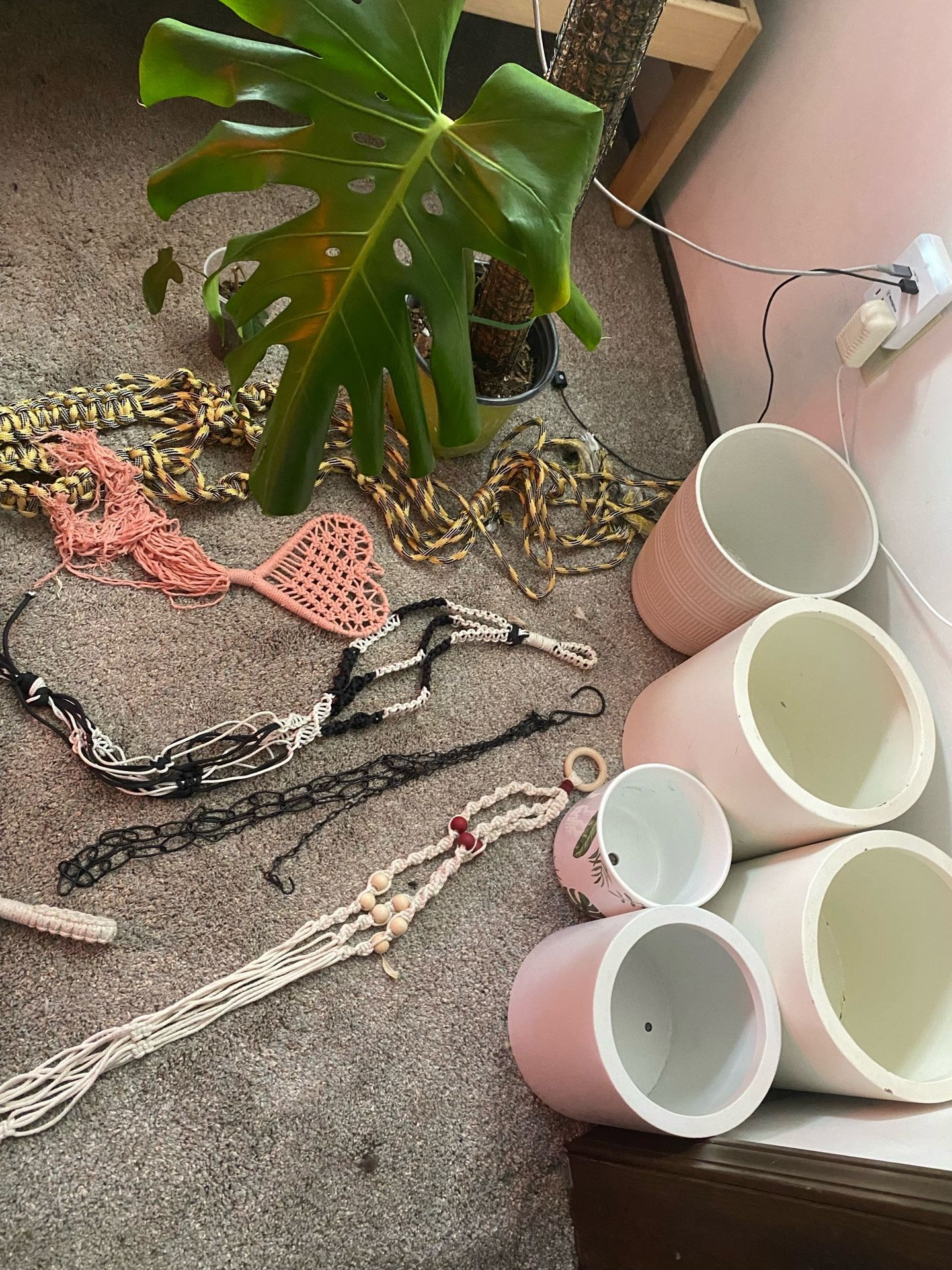 Pots, Plant Hangers, Plants, Etc