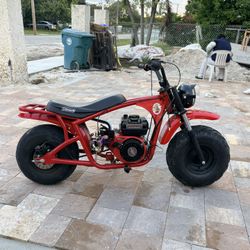 Mini Bike Coleman