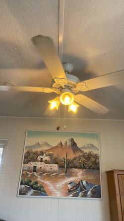 Ceiling Fans 