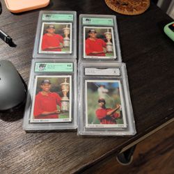 (4) Tiger  Woods Cards