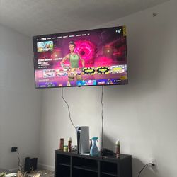 65 Inch Roku Tv
