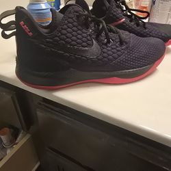 Nike LeBron Special Edition 