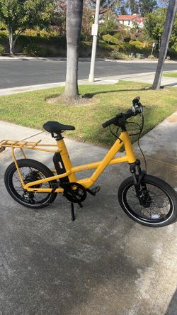 REI Electric Bike
