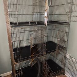 Dog Kennels