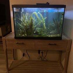 15 Gal Fish Tank With A Shelf. 