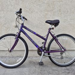 Raleigh M20 Mountain Trail. MADE IN USA. 21 speed. Ready to Ride!!!