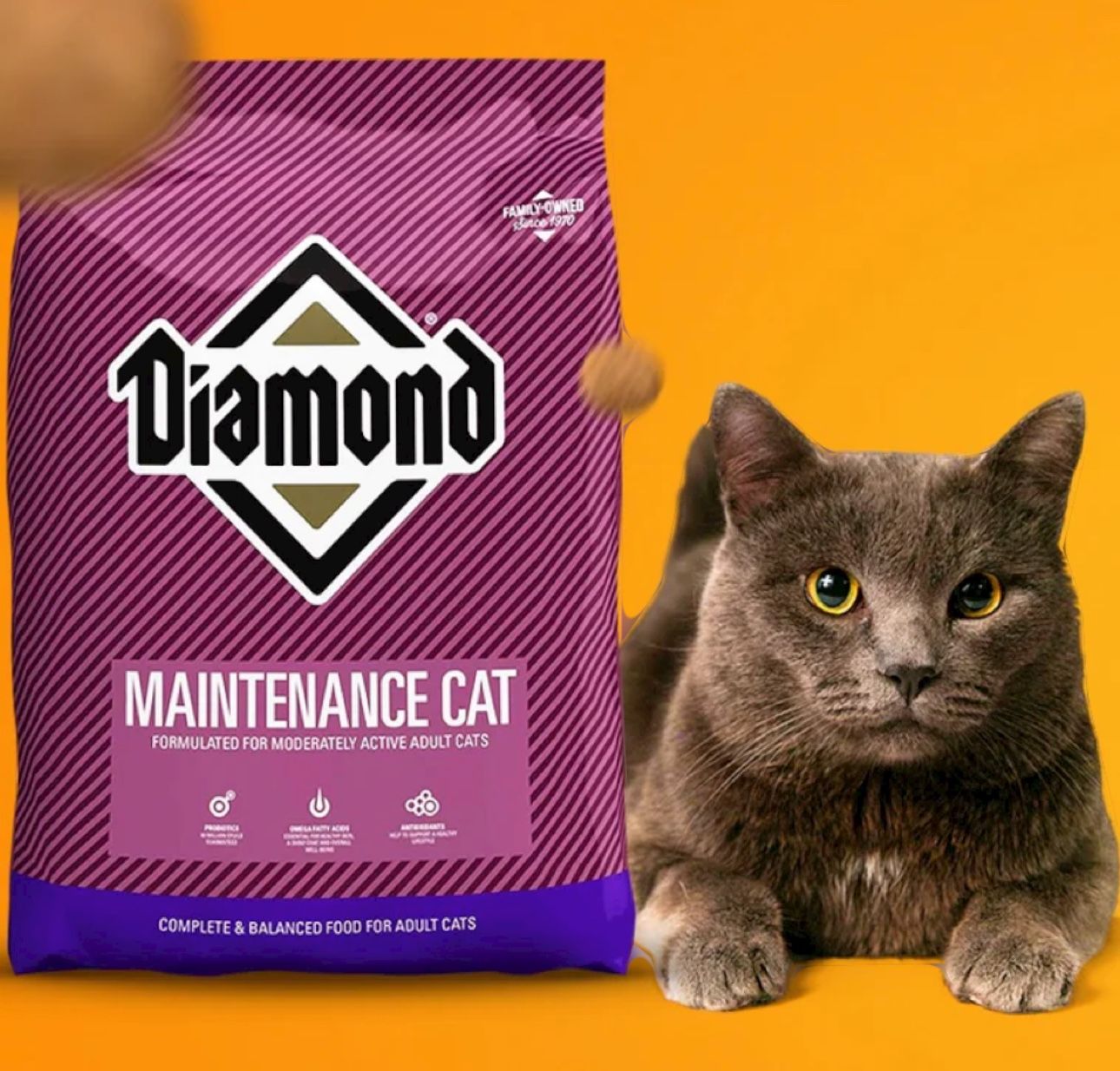 DIAMOND MAINTENANCE CAT FOOD