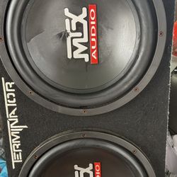 Two Subwoofer 