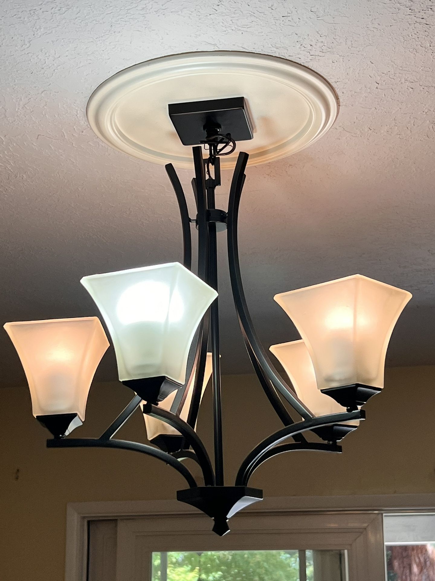Black/Bronze and Glass Light Fixture