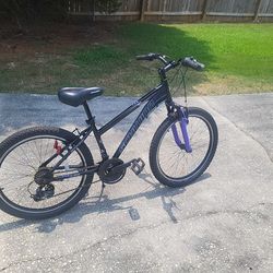 24"  Sidewinder Schwinn