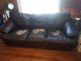 Leather Sofa sleeper