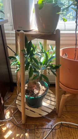 Plant stands