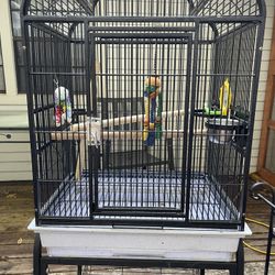 Bird Cage Medium Size