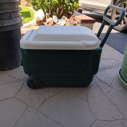 IGLOO WHEELie cool 42