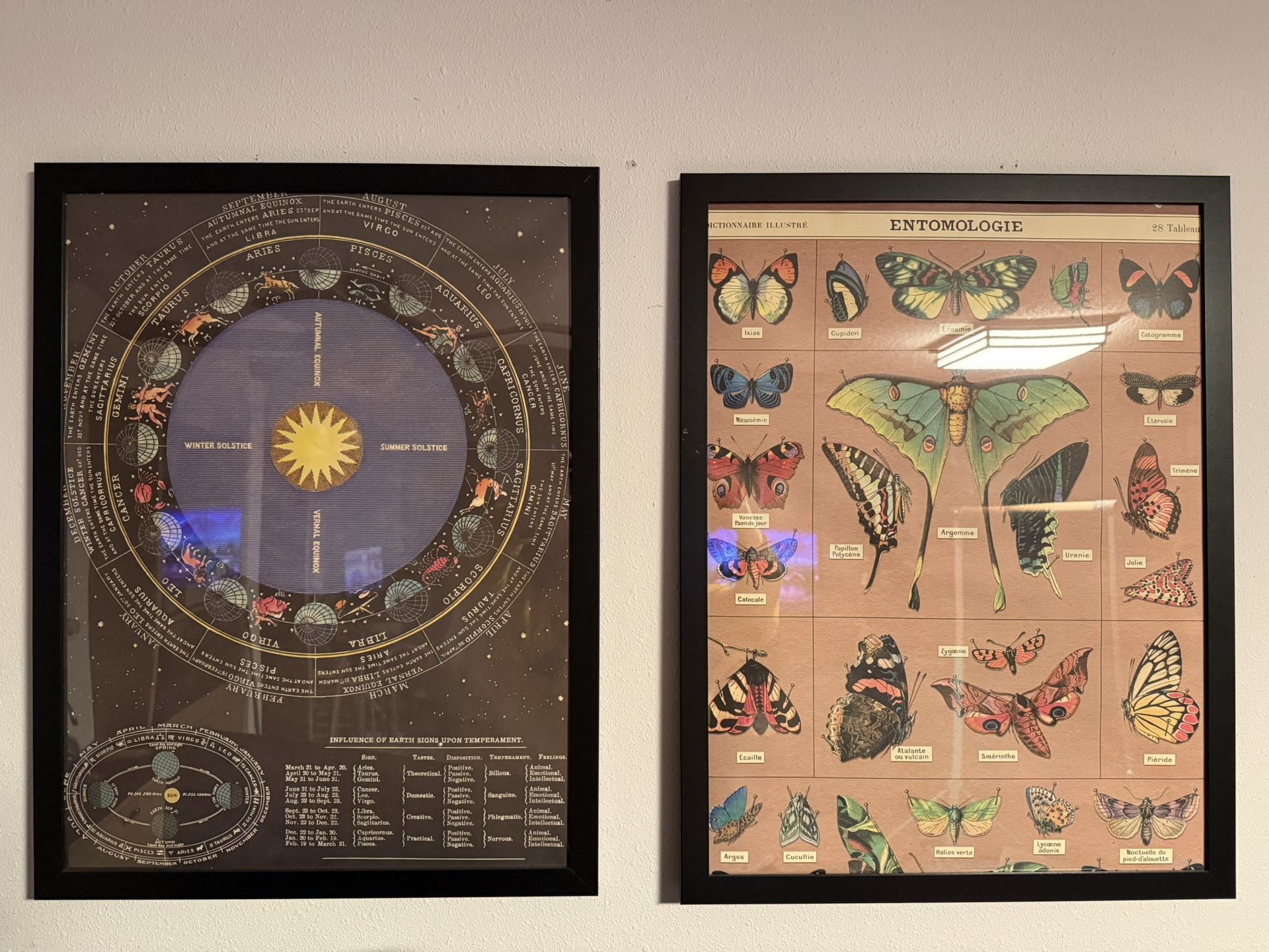 Wall Art