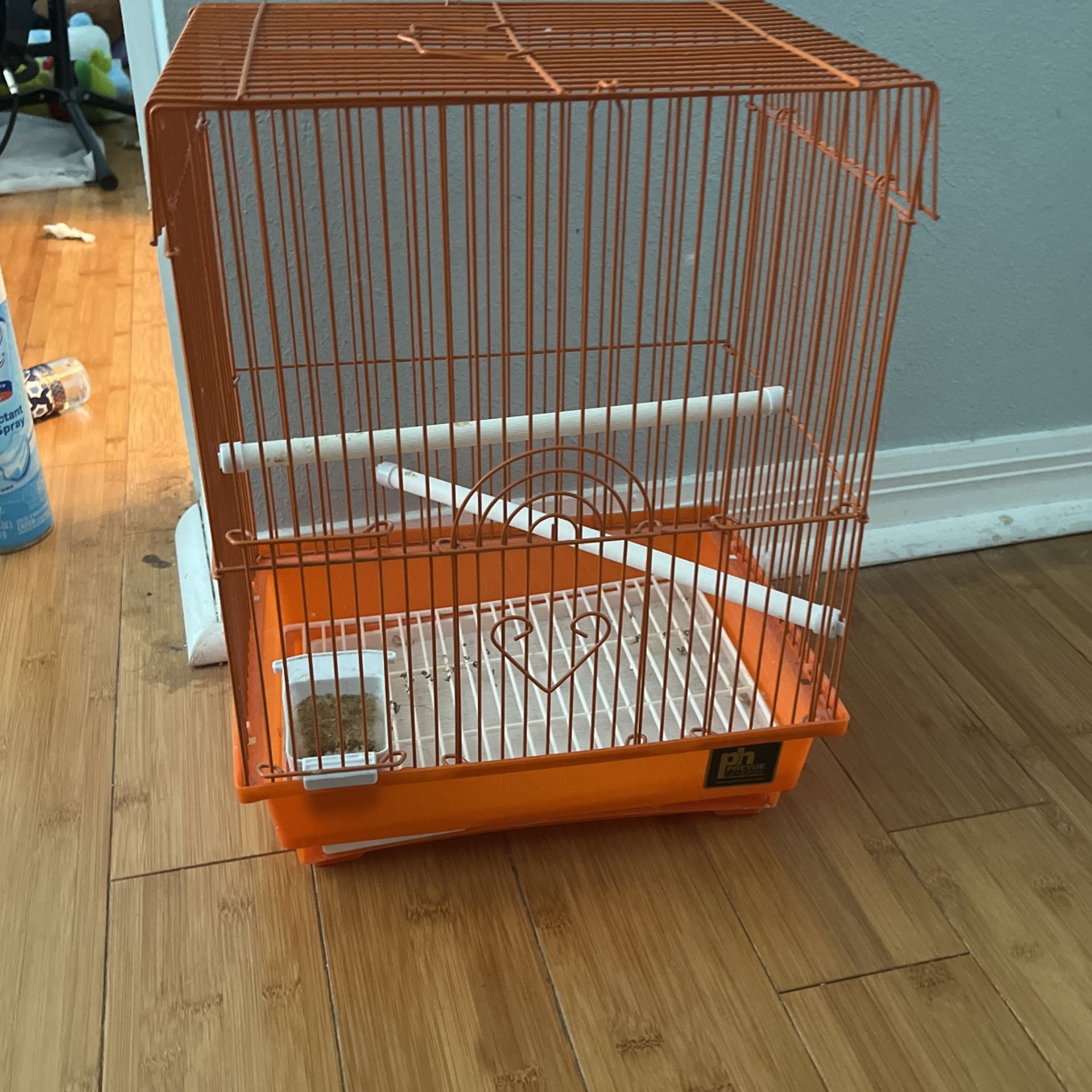 Bird Cage