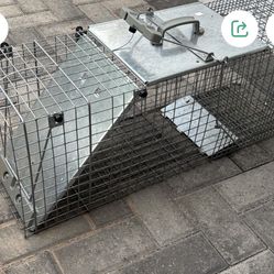 Animal Trap