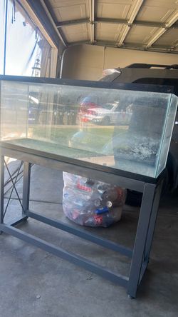 Fish tank