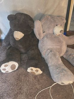 Bears