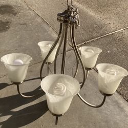 Chandelier/light fixture Like New $20