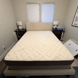 Queen Bed Frame Upholstered