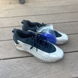 AE1 Low Champagne 10 US
