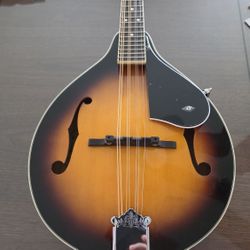 Mandolin