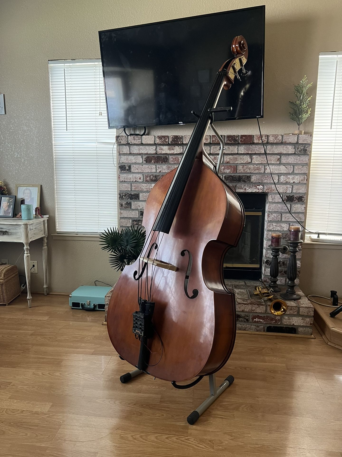 tololoche with shadow pickup