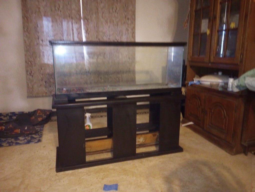 Big Fish Tank