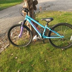 24-in Bicycle Nishiki