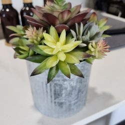 Fake Succulents In Silver Tin