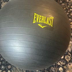 Exercise Ball