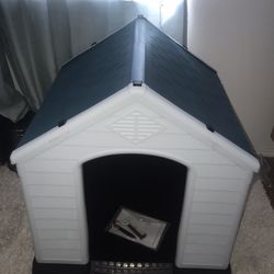 Dog House 