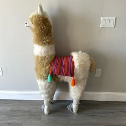 Alpaca 