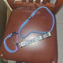 Dog leash and collar