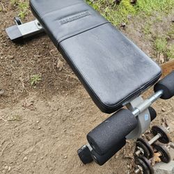 Ab Bench 