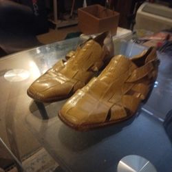 Mauri Gators