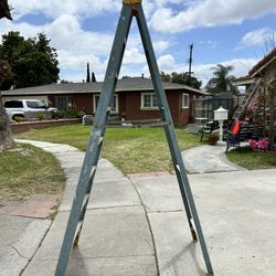 Ladder 8 Ft