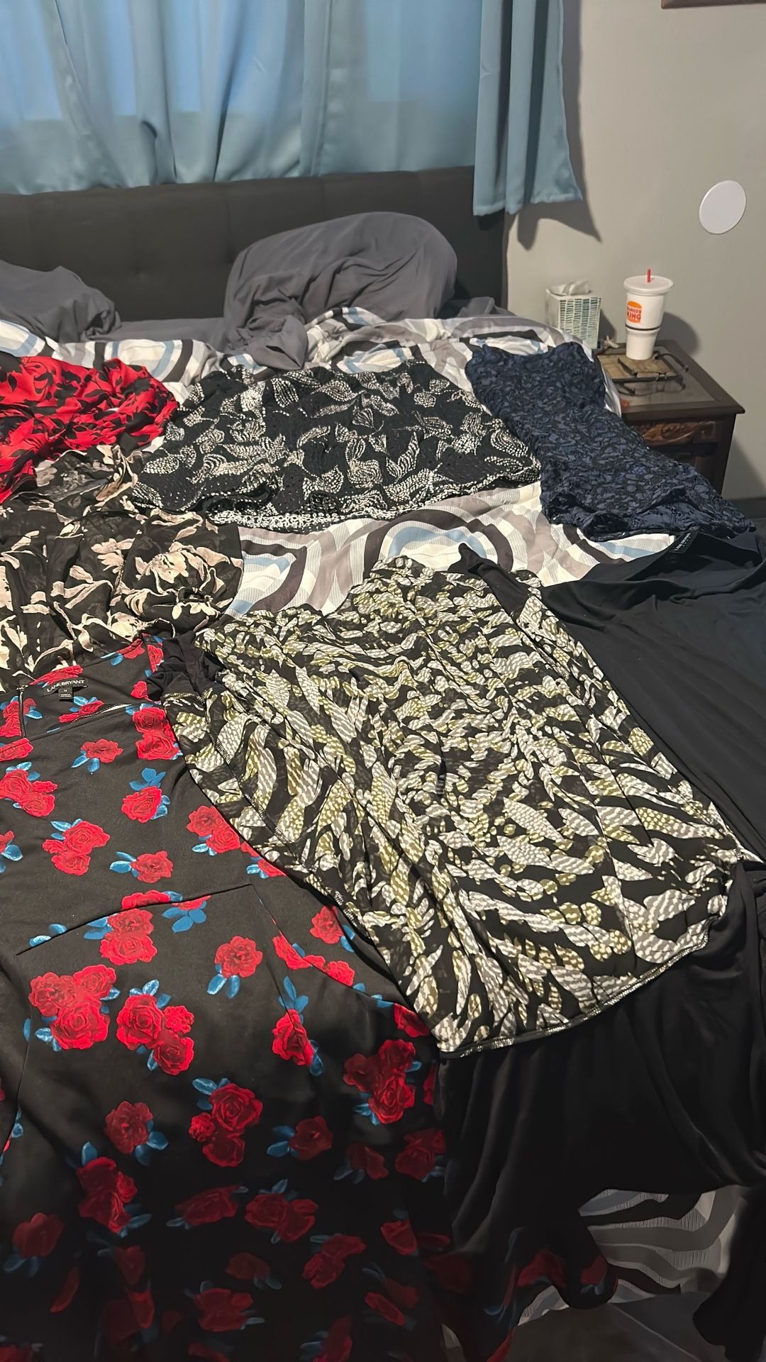 Lane Bryant Woman’s Clothes