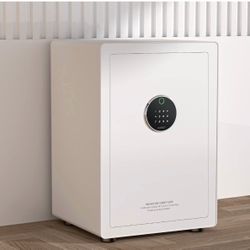 Biometric Fingerprint Touchscreen Safe, 3.38 Cuft