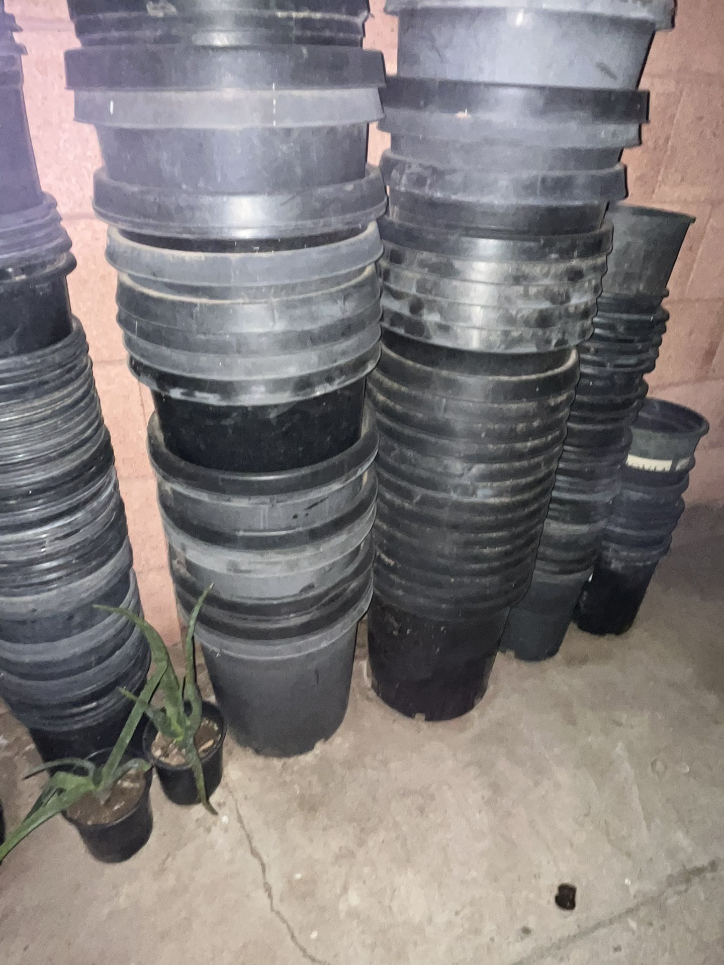 Many Outdoor Planters For Your Home Garden Plants