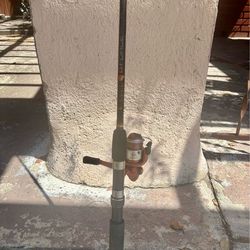 Daiwa D Force Fishing spinning rod