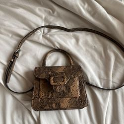 UO snakeprint purse