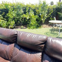 Leather Love Seat And Sofa