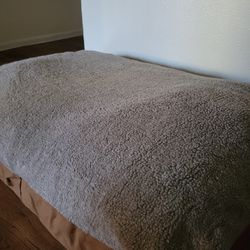 Dog Bed