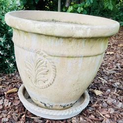 3 Flower Pots 