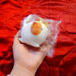 Gatos De Squishes Cada Uno Está 